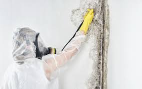 Best Post-Construction Mold Inspection in USA